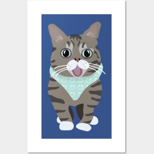 Lil Bub the Internet Cat Posters and Art